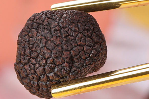 松露的味道像漏煤氣，冰鮮黑松露是酒精的味道嗎