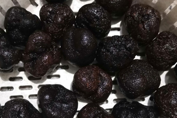 松露有幾個品種 松露有幾個品種