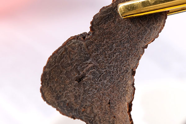 貴州的松樹(shù)下有松露嗎，湖南的松樹(shù)有松露嗎