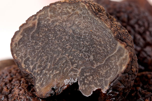 黑松露味道像大蒜，黑松露海鮮飯什么味道