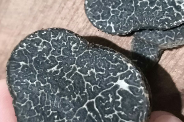 什么樣子的松露最好 什么樣子的松露最好