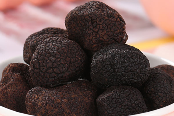 現(xiàn)在還用松露豬嗎 現(xiàn)在還用松露豬嗎