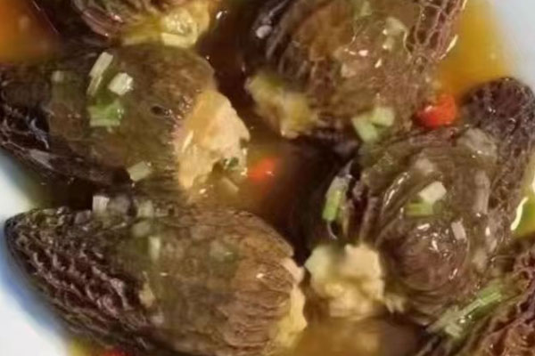 剛懷孕保胎可以吃羊肚菌嗎 剛懷孕保胎可以吃羊肚菌嗎