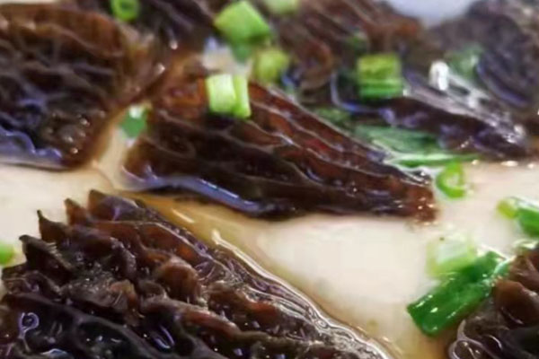 羊肚菌做菜很鮮美嗎 羊肚菌做菜很鮮美嗎