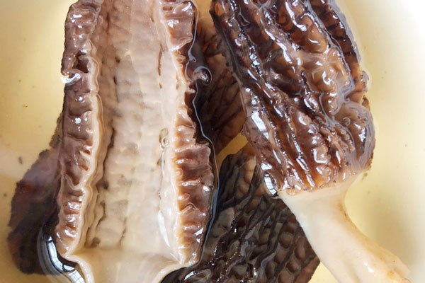 羊肚菌煲湯要不要泡發(fā)，羊肚菌泡發(fā)了可以過夜嗎