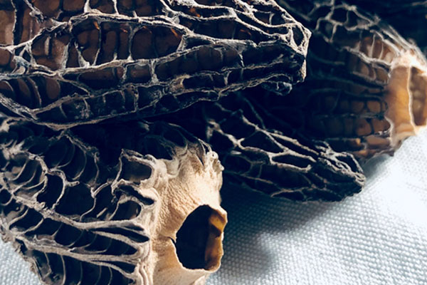 全剪柄羊肚菌好不好 全剪柄羊肚菌好不好