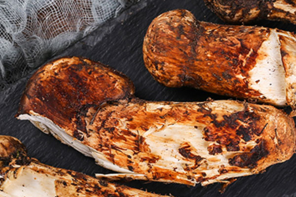 松茸有多少個(gè)品種 松茸有多少個(gè)品種