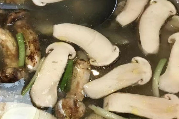 松茸有幾種顏色，松茸的產(chǎn)地有哪些