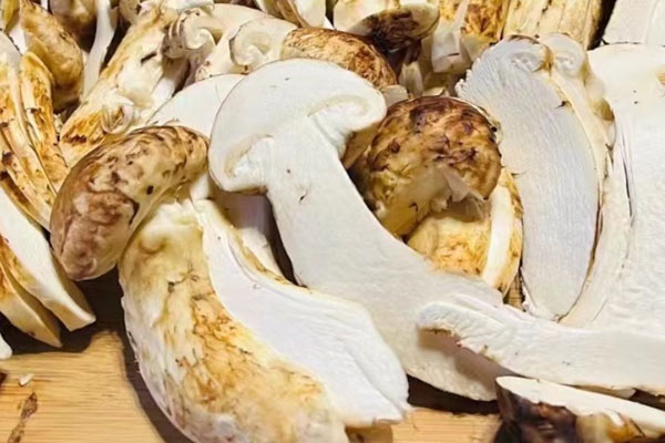 什么是南華松茸 什么是南華松茸