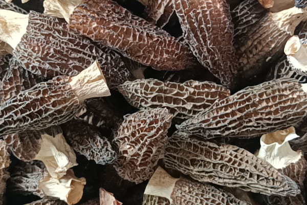 羊肚菌口蘑肉丸湯的功效作用 羊肚菌口蘑肉丸湯的功效作用