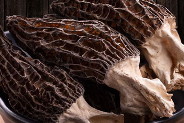 羊肚菌雪山菇雞湯的食用禁忌 羊肚菌雪山菇雞湯的食用禁忌