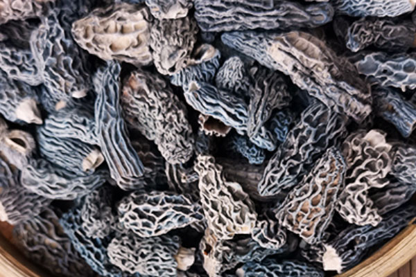 羊肚菌蒜香排骨的營(yíng)養(yǎng)價(jià)值 羊肚菌蒜香排骨的營(yíng)養(yǎng)價(jià)值