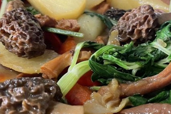 肌酐高可以吃羊肚菌嗎 肌酐高可以吃羊肚菌嗎