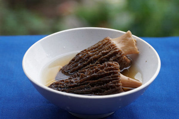 透析可以吃羊肚菌嗎，腎衰竭能吃羊肚菌嗎