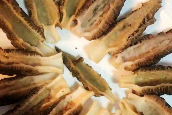 腎衰竭可以吃羊肚菌嗎 腎衰竭可以吃羊肚菌嗎