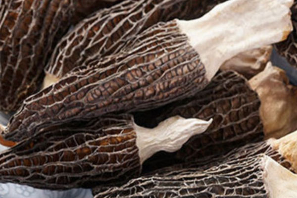 羊肚菌一餐吃多少好，羊肚菌含幾種氨基酸