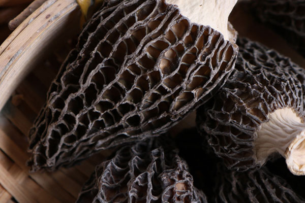 干品羊肚菌為什么要剪腳 干品羊肚菌為什么要剪腳