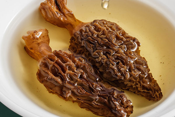 羊肚菌含有蛋白質(zhì)嗎，羊肚菌的熱量高嗎