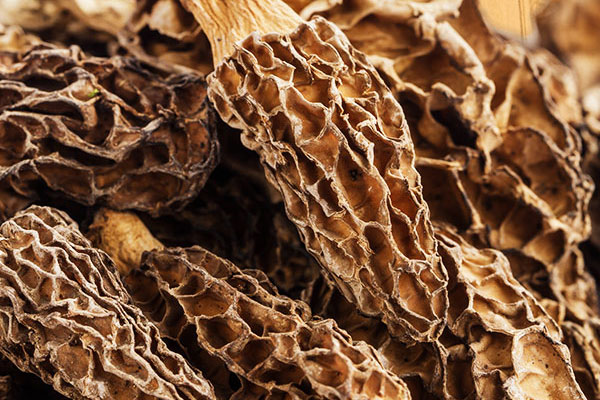 羊肚菌的熱量高不高 羊肚菌的熱量高不高