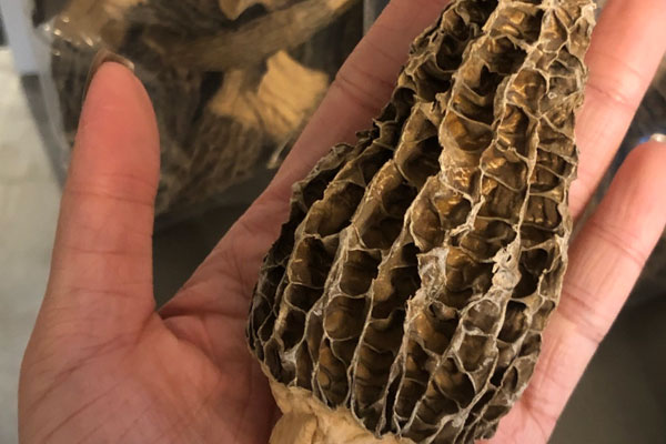 羊肚菌豌豆肉燜飯?jiān)趺醋龊贸? src=