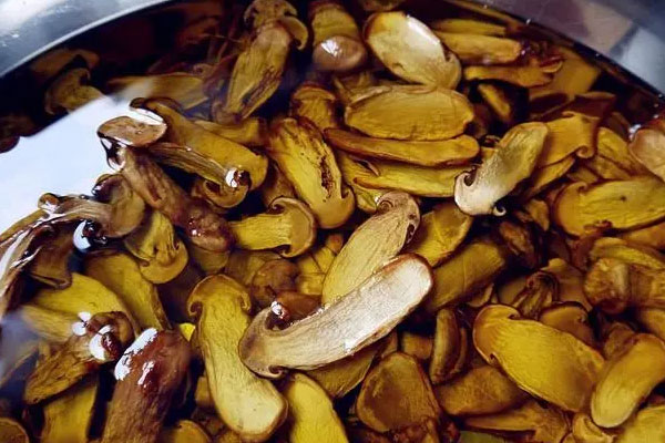 孕婦可以吃松茸醬嗎，孕婦可以吃松茸粉嗎