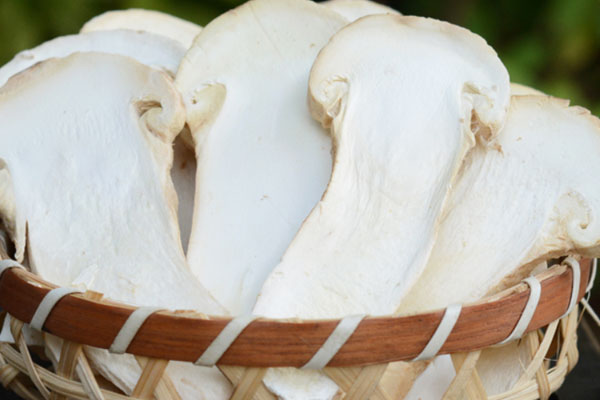 松茸含有的蛋白比動物蛋白更增肌 松茸含有的蛋白比動物蛋白更增肌