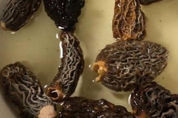 羊肚菌一日三餐都要吃嗎 羊肚菌一日三餐都要吃嗎