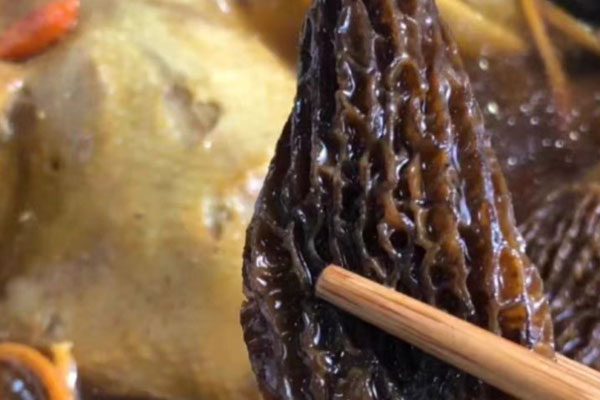 羊肚菌可以整個(gè)吃嗎，生吃了羊肚菌怎么辦