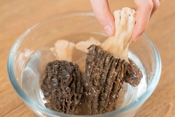 清洗羊肚菌的小技巧 清洗羊肚菌的小技巧