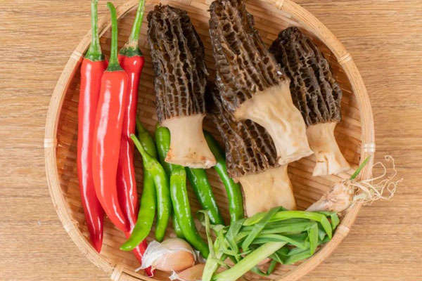 羊肚菌能空腹吃嗎 羊肚菌能空腹吃嗎