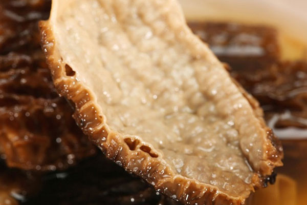 羊肚菌肉厚和肉薄哪個(gè)好 羊肚菌肉厚和肉薄哪個(gè)好