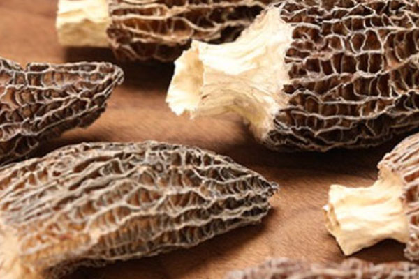 女性能長期吃羊肚菌嗎 女性能長期吃羊肚菌嗎