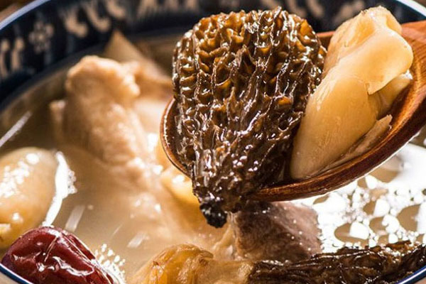 羊肚菌是藥用菌嗎 羊肚菌是藥用菌嗎