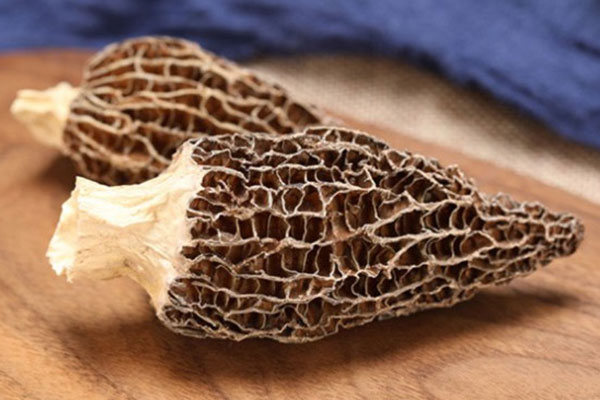 可以大量食用羊肚菌嗎 可以大量食用羊肚菌嗎