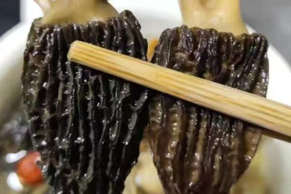 羊肚菌幾天成熟 羊肚菌幾天成熟