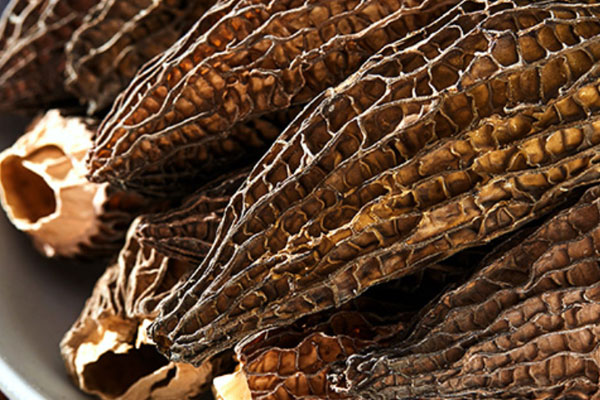 新鮮羊肚菌怎么曬干 新鮮羊肚菌怎么曬干