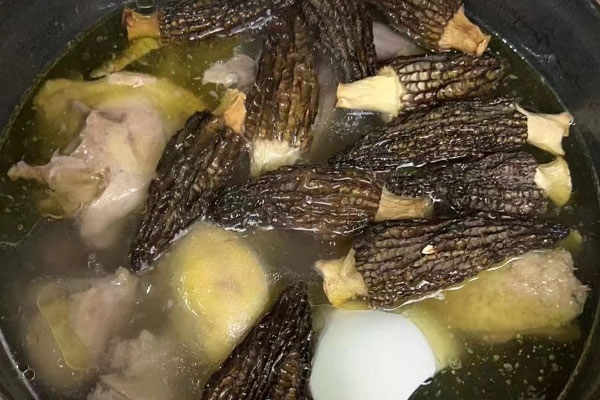 羊肚菌含有葉酸嗎 羊肚菌含有葉酸嗎