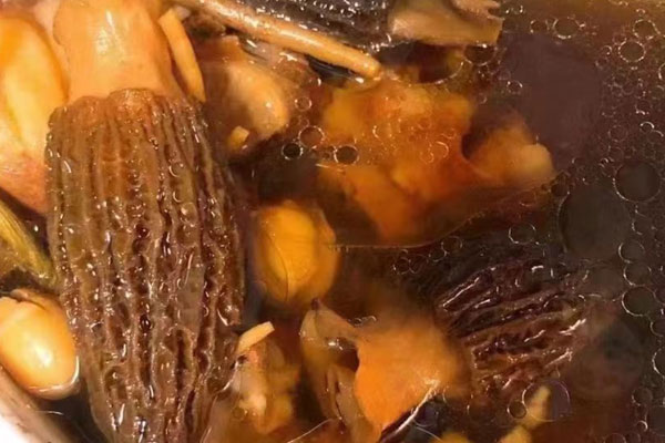 羊肚菌含量很高嗎 羊肚菌含量很高嗎