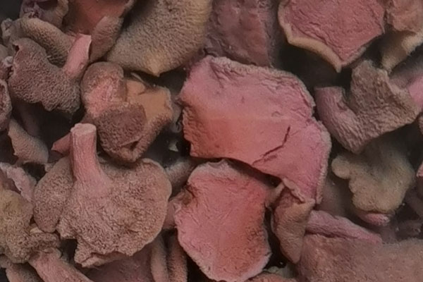 紅乳牛肝菌煮熟是什么顏色 紅乳牛肝菌煮熟是什么顏色