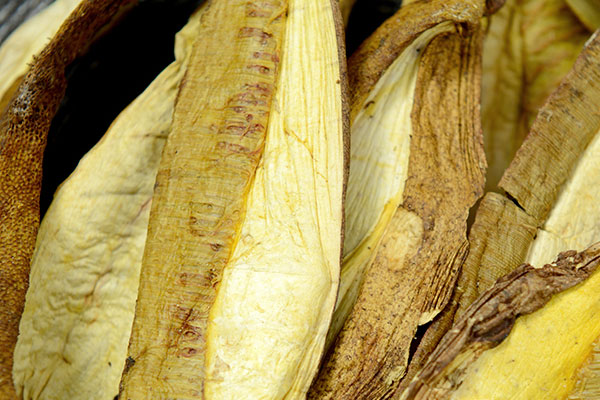 烘干牛肝菌的溫度 烘干牛肝菌的溫度