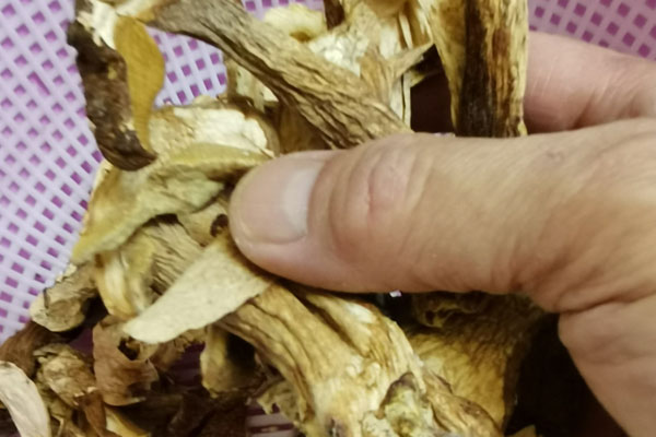 牛肝菌曬干之前需要洗嗎 牛肝菌曬干之前需要洗嗎