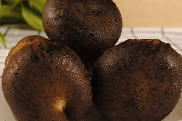 黑牛肝菌很香嗎 黑牛肝菌很香嗎