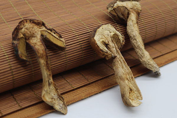 貧血能吃牛肝菌嗎 貧血能吃牛肝菌嗎