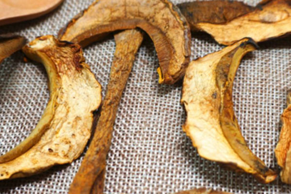 云南為什么牛肝菌多 云南為什么牛肝菌多