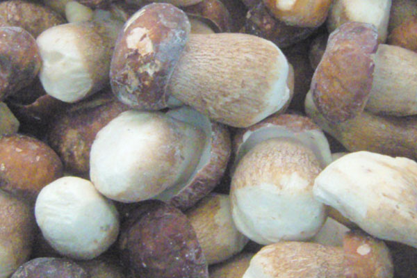 吃牛肝菌會(huì)胃疼嗎 吃牛肝菌會(huì)胃疼嗎