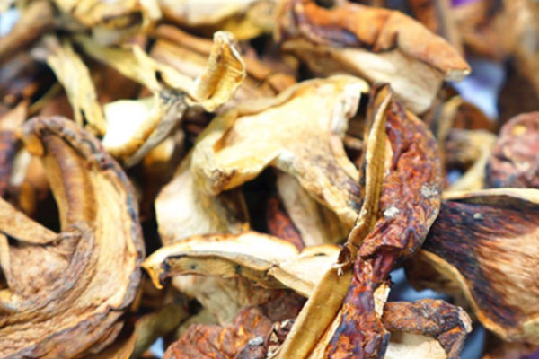 什么樣子的牛肝菌最好 什么樣子的牛肝菌最好