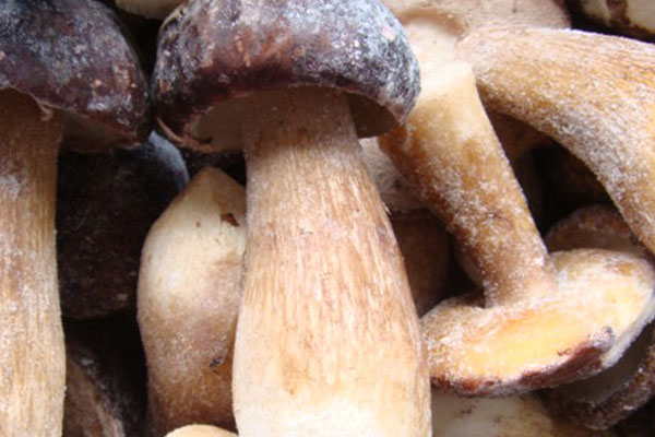 牛肝菌燉雞有苦味可以吃嗎 牛肝菌燉雞有苦味可以吃嗎