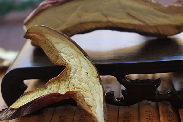 牛肝菌燉湯要不要焯水 牛肝菌燉湯要不要焯水