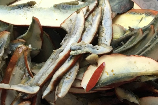 牛肝菌切開放一晚可以吃嗎 牛肝菌切開放一晚可以吃嗎