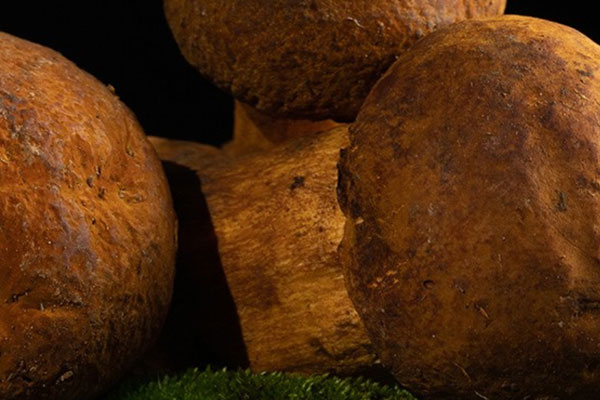 黃牛肝菌洗了會不會掉色 黃牛肝菌洗了會不會掉色